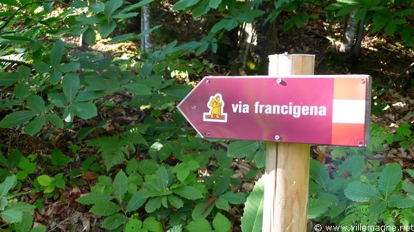 Couleuvre - près du col de Borghallo Couleuvre - près du col de Borghallo