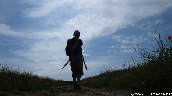 Dans les champs de Brie Dans les champs de Brie