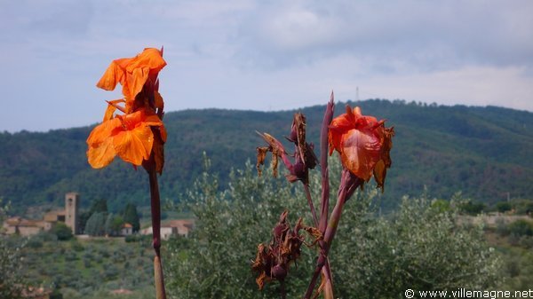 Églises Sainte-Marie et Saint-Léonard, vues depuis la villa Médicis <em>Ferdinanda</em> à Artimino Églises Sainte-Marie et Saint-Léonard, vues depuis la villa Médicis <em>Ferdinanda</em> à Artimino