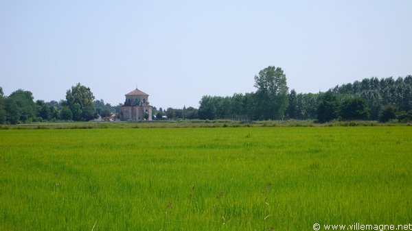 En arrivant à Gravellona - Rizières En arrivant à Gravellona - Rizières