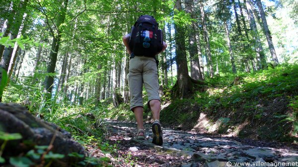 En montant vers Hagenegg En montant vers Hagenegg