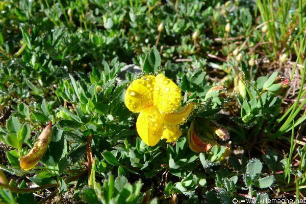 En montant vers le col d’Olen En montant vers le col d’Olen