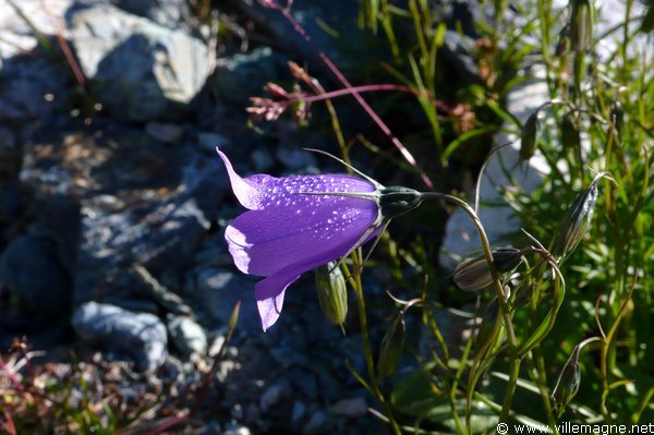 En montant vers le col d’Olen En montant vers le col d’Olen