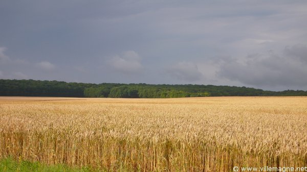 En partant de Saint-Maurice-aux-Riches-Hommes En partant de Saint-Maurice-aux-Riches-Hommes