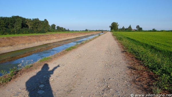 Entre Barengo et Nibbia - plaine du Pô Entre Barengo et Nibbia - plaine du Pô