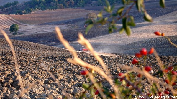 Entre Capracotta et Agnone Entre Capracotta et Agnone