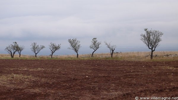 Entre Castellaneta et Matera Entre Castellaneta et Matera