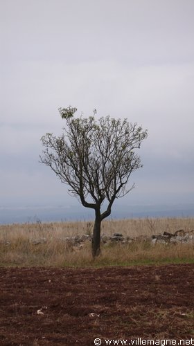 Entre Castellaneta et Matera Entre Castellaneta et Matera