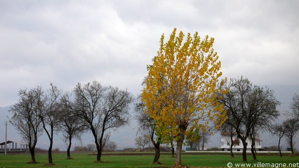 Entre Ceprano et Ripi Entre Ceprano et Ripi