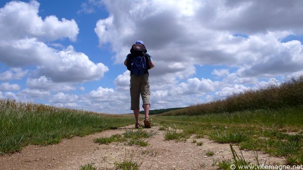 Entre Dierrey-Saint-Julien et Macey Entre Dierrey-Saint-Julien et Macey