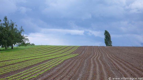 Entre Fenkrieden et Oberrüti Entre Fenkrieden et Oberrüti