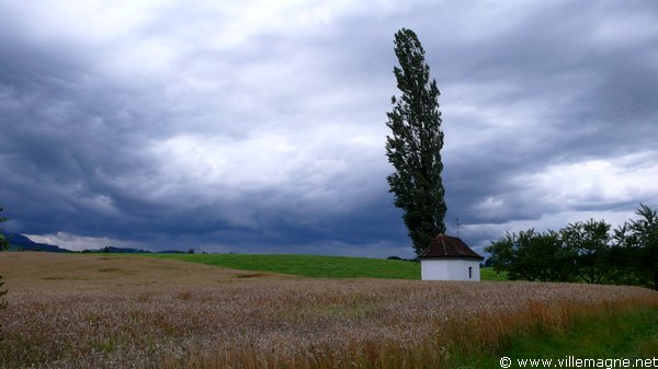 Entre Fenkrieden et Oberrüti Entre Fenkrieden et Oberrüti