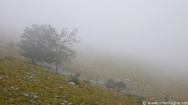 Entre Foce di Mosceta et Cardoso Entre Foce di Mosceta et Cardoso