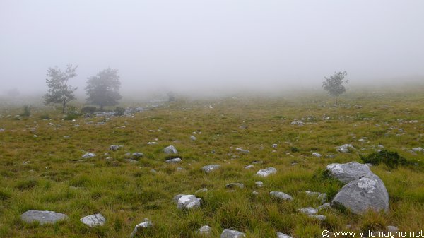 Entre Foce di Mosceta et Cardoso Entre Foce di Mosceta et Cardoso