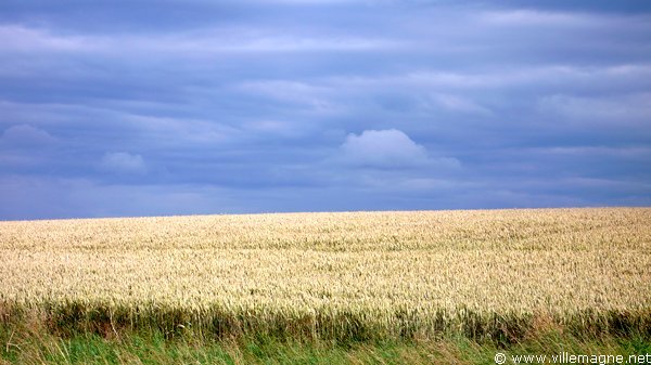 Entre Frécourt et Poiseul Entre Frécourt et Poiseul