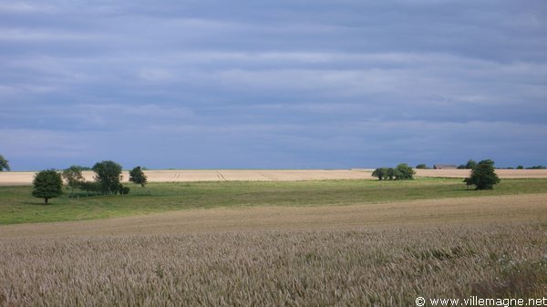 Entre Frécourt et Poiseul Entre Frécourt et Poiseul