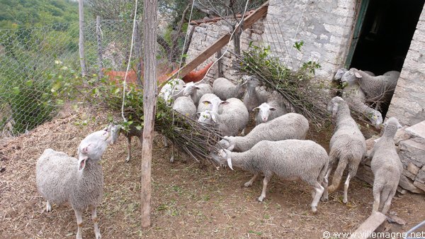 Entre Lucito et Provvidenti Entre Lucito et Provvidenti