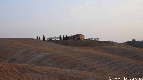 Entre Monte Oliveto Maggiore et Montepulciano Entre Monte Oliveto Maggiore et Montepulciano