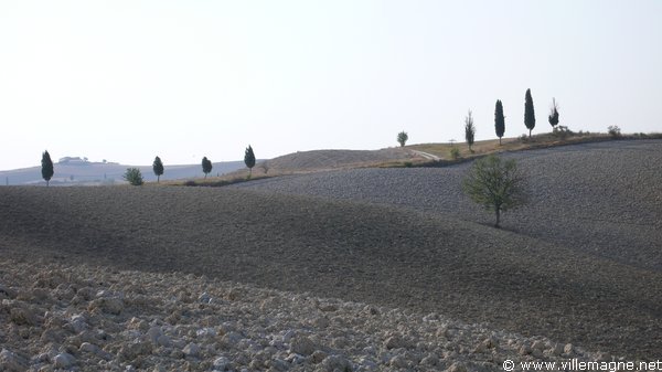 Entre Monte Oliveto Maggiore et Montepulciano Entre Monte Oliveto Maggiore et Montepulciano