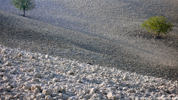 Entre Monte Oliveto Maggiore et Montepulciano Entre Monte Oliveto Maggiore et Montepulciano