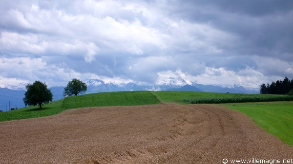 Entre Ottenhusen et Fenkrieden Entre Ottenhusen et Fenkrieden