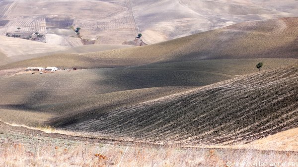 Entre Santa Croce di Magliano et Torre Maggiore Entre Santa Croce di Magliano et Torre Maggiore