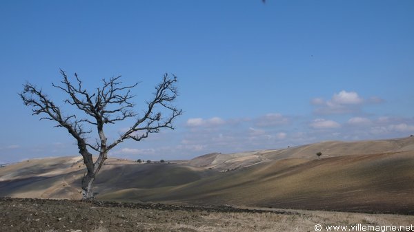 Entre Santa Croce di Magliano et Torre Maggiore Entre Santa Croce di Magliano et Torre Maggiore