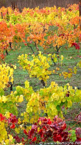 Entre Viggiano et Paderno Entre Viggiano et Paderno