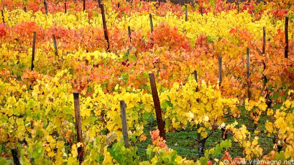 Entre Viggiano et Paderno Entre Viggiano et Paderno