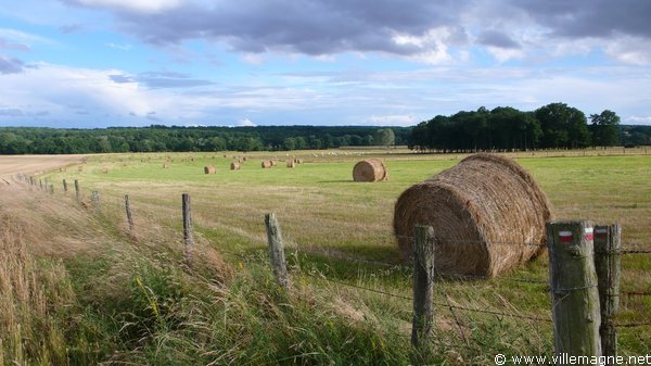 Entre Villeneuve-aux-chênes et Champ-sur-Barse Entre Villeneuve-aux-chênes et Champ-sur-Barse