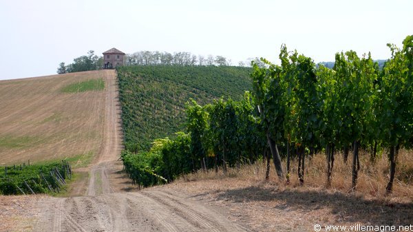 Entre Voghera et Codevilla Entre Voghera et Codevilla