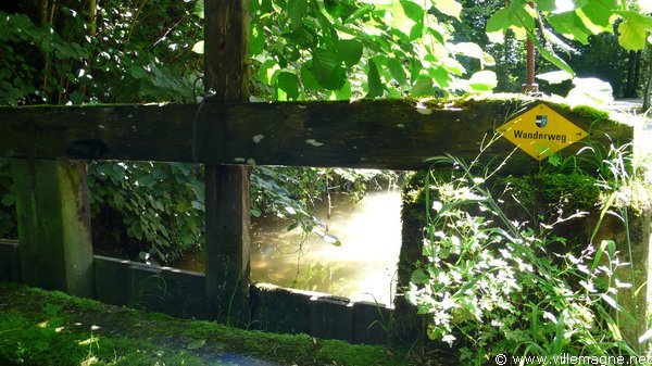 Entre Wynau et Saint-Urban Entre Wynau et Saint-Urban