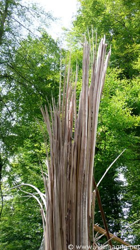 Entre Zoffingen et Knutwil Entre Zoffingen et Knutwil