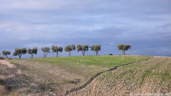 Environs de Tarente Environs de Tarente