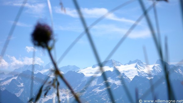 Glacier de Trift Glacier de Trift