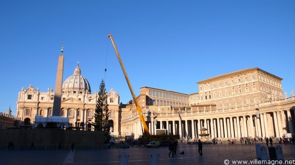 Installation de l’arbre de Noël sur la place Saint-Pierre à Rome