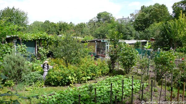 Jardins ouvriers à Maisons-Alfort Jardins ouvriers à Maisons-Alfort