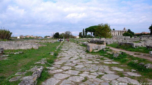 La <em>Via Sacra</em> de Paestum - Au fond à droite, le temple de Cérès La <em>Via Sacra</em> de Paestum - Au fond à droite, le temple de Cérès