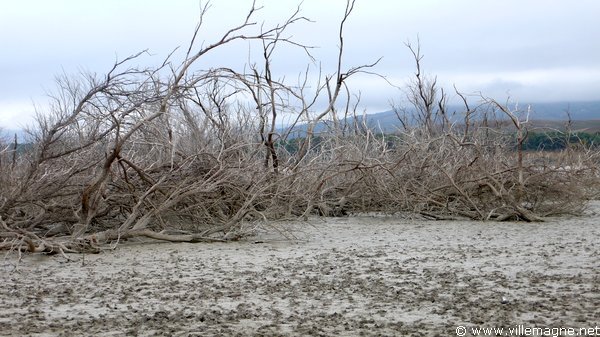 Lac de San Giuliano, à l’ouest de Matera Lac de San Giuliano, à l’ouest de Matera