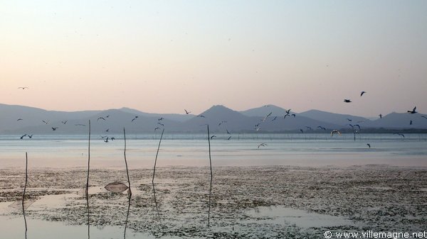 Le lac de Trasimène à Castiglione del Lago Le lac de Trasimène à Castiglione del Lago