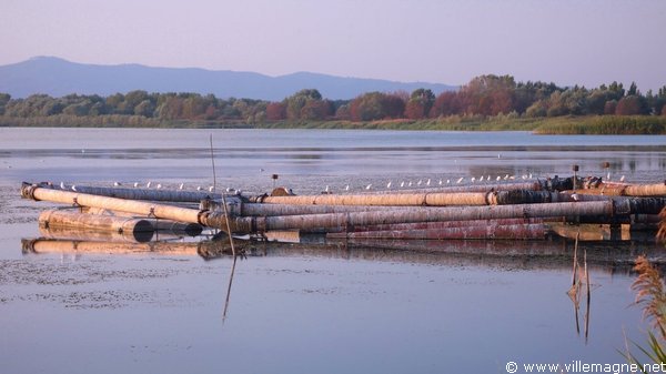 Le lac de Trasimène à Castiglione del Lago Le lac de Trasimène à Castiglione del Lago