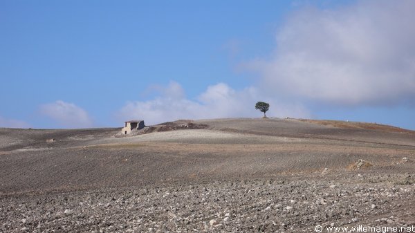 Le long d’une ancienne voie de transhumance (tratturo) entre Santa Croce di Magliano et Torre Maggiore Le long d’une ancienne voie de transhumance (tratturo) entre Santa Croce di Magliano et Torre Maggiore
