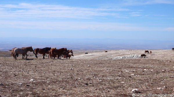 Le plateau du Gargan entre San Giovanni Rotondo et Monte Sant’ Angelo Le plateau du Gargan entre San Giovanni Rotondo et Monte Sant’ Angelo