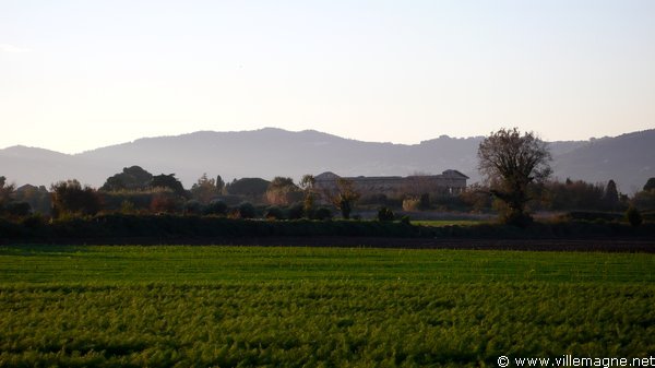 Les temples de Paestum derrière les champs de fenouil Les temples de Paestum derrière les champs de fenouil