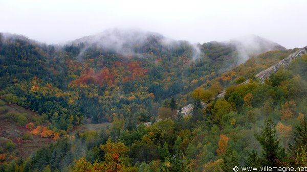 Parc national du Cilento - Entre Paderno et Padula Parc national du Cilento - Entre Paderno et Padula