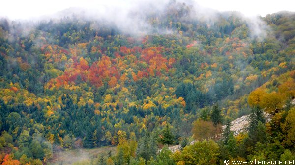 Parc national du Cilento - Entre Paderno et Padula Parc national du Cilento - Entre Paderno et Padula