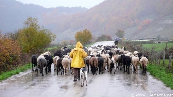 Parc national du Cilento - Entre Paderno et Padula Parc national du Cilento - Entre Paderno et Padula