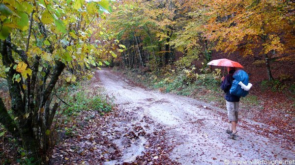 Parc national du Cilento - Entre Paderno et Padula Parc national du Cilento - Entre Paderno et Padula