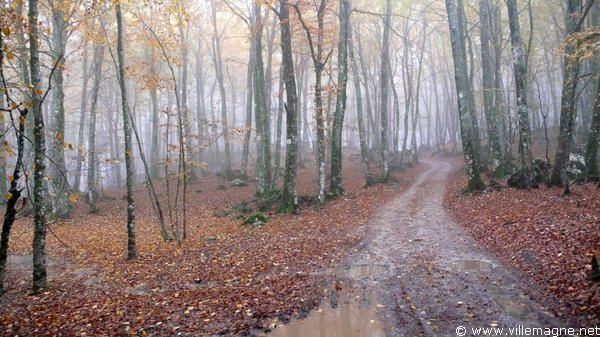 Parc national du Cilento - Entre Paderno et Padula Parc national du Cilento - Entre Paderno et Padula