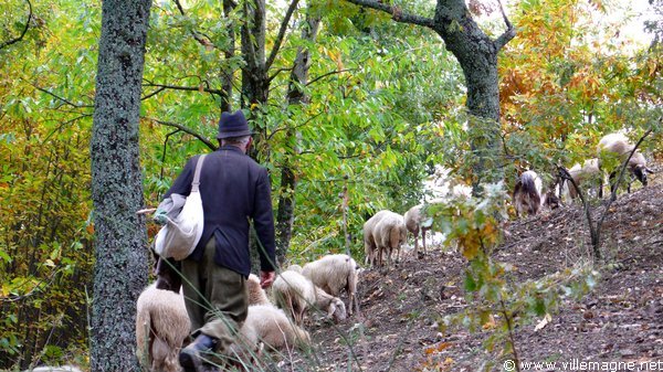 Parc national du Cilento - Entre Paderno et Padula Parc national du Cilento - Entre Paderno et Padula